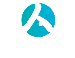 Leelaisim insurance agency